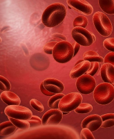 Czy miesiączka nasila ból sierpowaty? Nowe dane zmieniają podejście do SCD