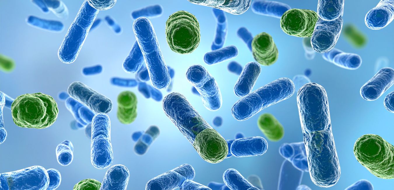 Czy bakterie jelitowe mogą leczyć zespół jelita drażliwego?